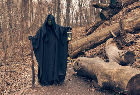 the green witch in the autumn forestの写真素材