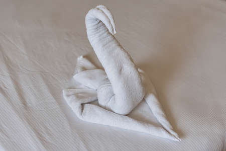 Summer travel to Africaの写真素材