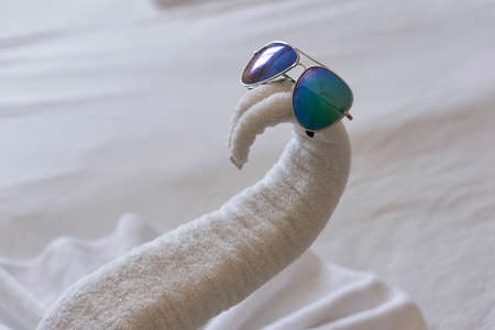 Summer travel to Africaの写真素材