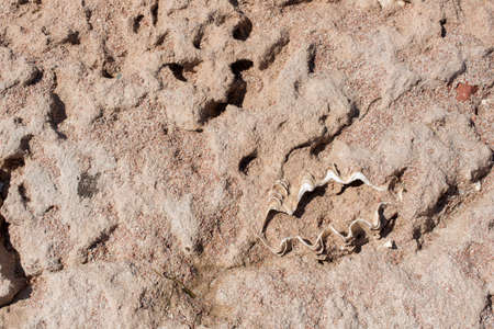 Summer travel to Africaの写真素材