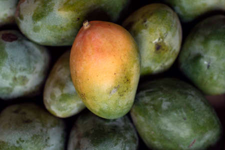 Seasonal fruit and vegetablesの写真素材