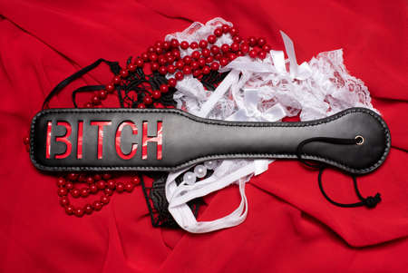 Toys only for adultの写真素材