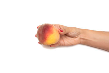 Seasonal fruit and vegetablesの写真素材