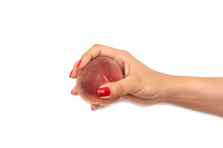 Seasonal fruit and vegetablesの写真素材