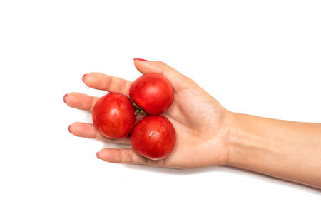 Seasonal fruit and vegetablesの写真素材