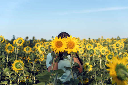 Summer walk in the countryside with a girlの写真素材