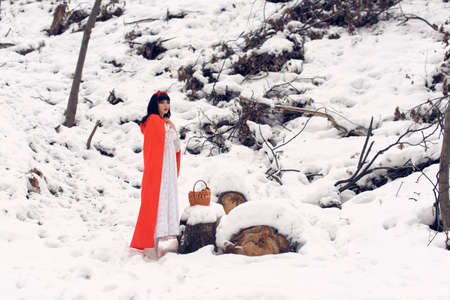 pretty girl adventures in the winter forestの写真素材