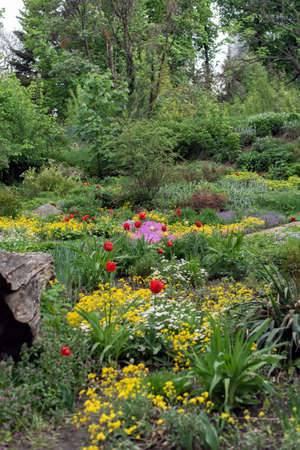 Wild landscapes in Europeの写真素材