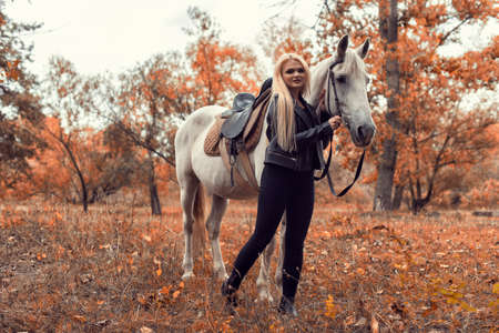 Autumn photo session in the park with a horseの写真素材