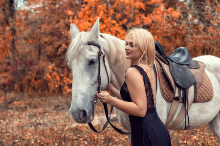 Autumn photo session in the park with a horseの写真素材