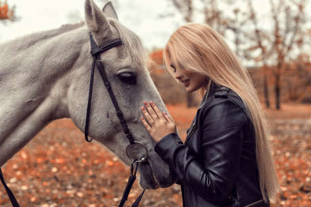 Autumn photo session in the park with a horseの写真素材