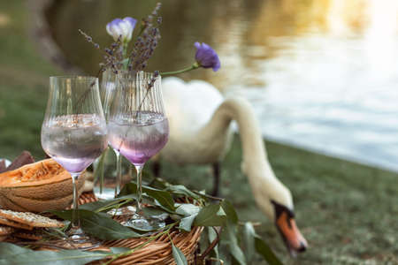 Summer picnic on the city riverの写真素材