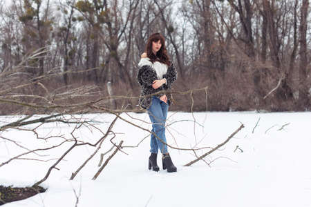 Winter walk in a snowy parkの写真素材