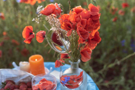 Wild landscapes in west Europeの写真素材