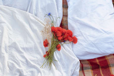 Wild landscapes in west Europeの写真素材