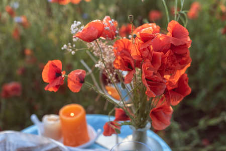 Wild landscapes in west Europeの写真素材