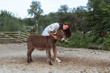 Trip to an old farmの写真素材