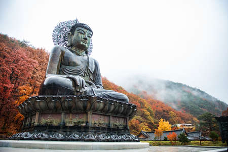Big Buddha Monument of Sinheungsa Temple in Seoraksan National Park, Sokcho, South Koreaの写真素材