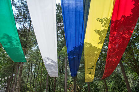 variety of colors flags hanging in the woods of South Korea