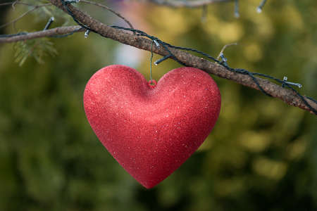 christmas balls, Christmas tree accessories. Extensive series of holiday shots with a variety of props and backgrounds.の写真素材