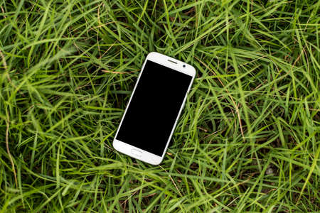 Mobile smartphone on the grassの写真素材