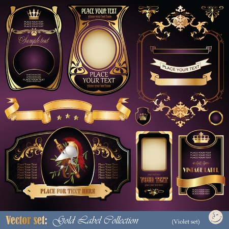 set: gold-framed labels, ribbon, ornaments and elements on different topics for decoration and designのイラスト素材