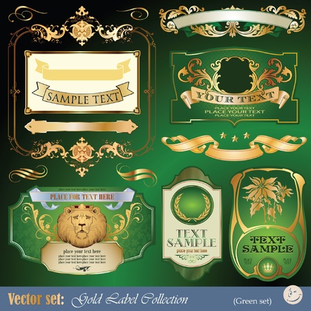 set: gold-framed labels, ribbon, ornaments and elements on different topics for decoration and designのイラスト素材