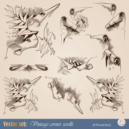 vintage corners for decoration in the form of ragged edges of old scrollsのイラスト素材