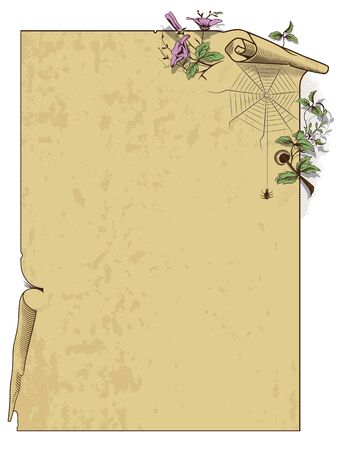 Vector stock. Scroll background with flowers and spider.のイラスト素材