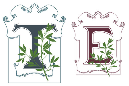 Template for Initial letter. Violin and chrysanthemum.のイラスト素材