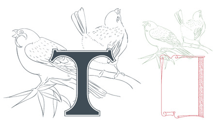 Template for Initial letter. Violin and chrysanthemum.のイラスト素材