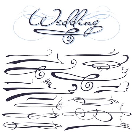 vector set of calligraphic elements for design inscriptions in vintage styleのイラスト素材