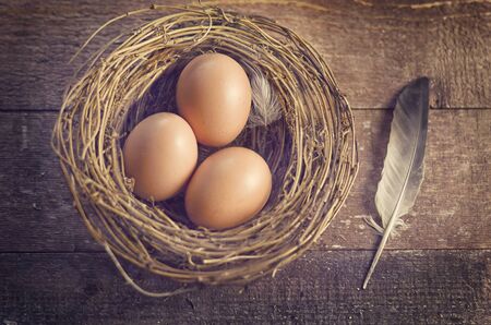 Eggs on the nestの写真素材