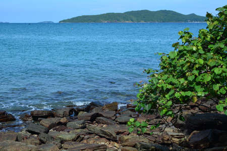 Sea surface aerial view.の写真素材
