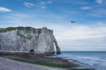 Etretat, France - 8 November 2015 - View of famous Etretat cliffs with a birdのeditorial素材