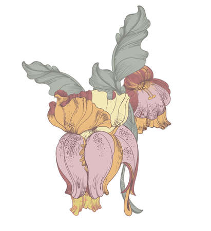 Vector image of flowers snapdragon, 
stylized hand-drawingのイラスト素材