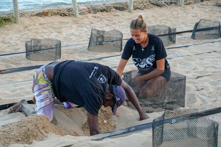 Animalist collecting newborn turtles at The Project Tamar, Praia do Forte, Bahia, Brazil. February, 24, 2019のeditorial素材
