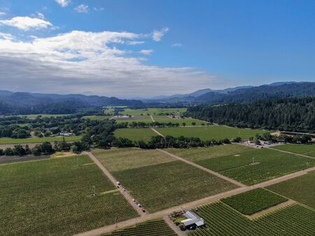 Aerial view of vineyard in Napa Valley during summer season. Napa County, in California's Wine...