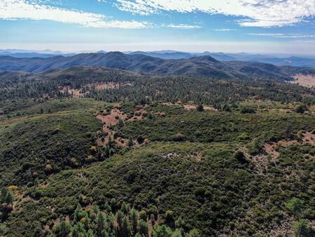 Aerial view of pine in Pine Valley during dry fall season, San Diego Country, California, USAの写真素材