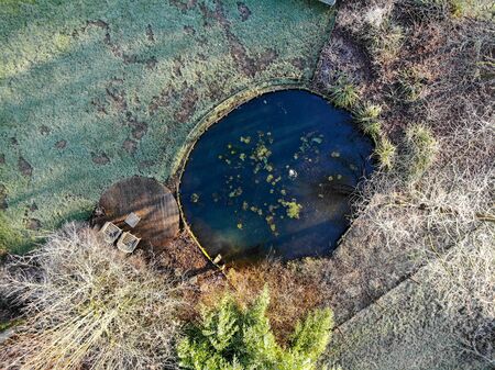 Winter at the pond in natural beautiful garden with little water pound. Aerial view morning frost and sunlight of a garden, plant borders, green frosty grass lawnの写真素材
