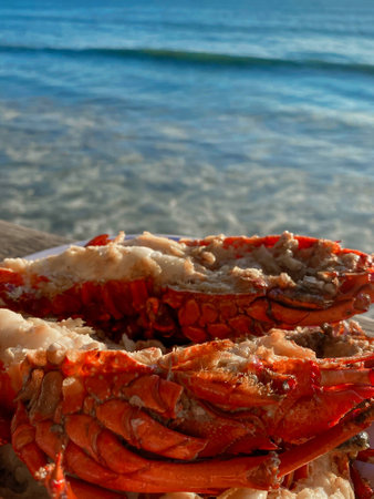 Fresh cooked lobster with ocean on the background. travel food destinationの写真素材