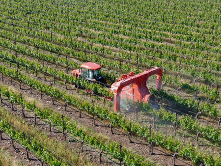 Farm tractor spraying pesticides and insecticides herbicides over green vineyard field. Napa Valley, Napa County, California, USA. April 5th, 2020のeditorial素材
