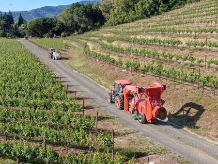 Farm tractor for spraying pesticides and insecticides herbicides over green vineyard field. on a small road. Napa Valley, Napa County, California, USA. April 5th, 2020のeditorial素材