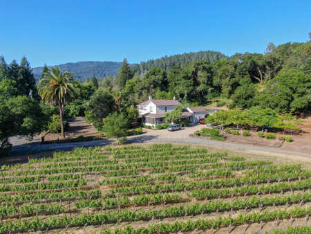Aerial view of cute classic American white wood house in Napa Valley. Beautiful old craftsman wood familial house. Napa County, California, USA, April 18th, 2020のeditorial素材
