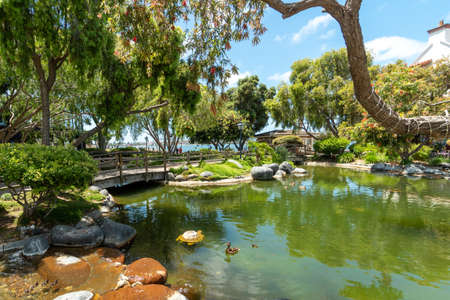 Little green lush and water pound at the Seaport Village, waterfront shopping and dining complex in San Diego, famous travel tourist attraction. South California. USA. June 5th, 2020のeditorial素材