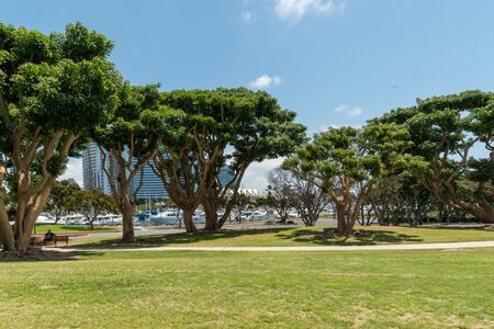 Waterfront public park with benches at the Embarcadero Marina Park South, San Diego Downtown....