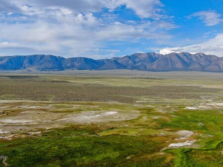 Aerial view of herd of cows in green meadow with mountain on the background. Cows cattle grazing on...