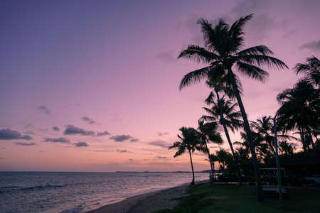 Palm trees silhouettes on tropical beach during colorful sunset.の写真素材