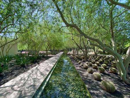 Sunnylands center and garden in Rancho Mirage, Desert environment park, home to a variety of plants and wildlife, California, USA. September 26th, 2020のeditorial素材