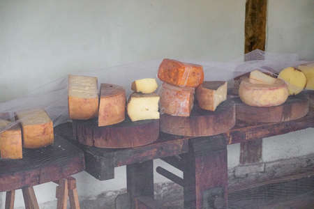 Variety of traditional cheese in a cheese farm store, dry aged cheeses